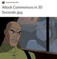 538x554