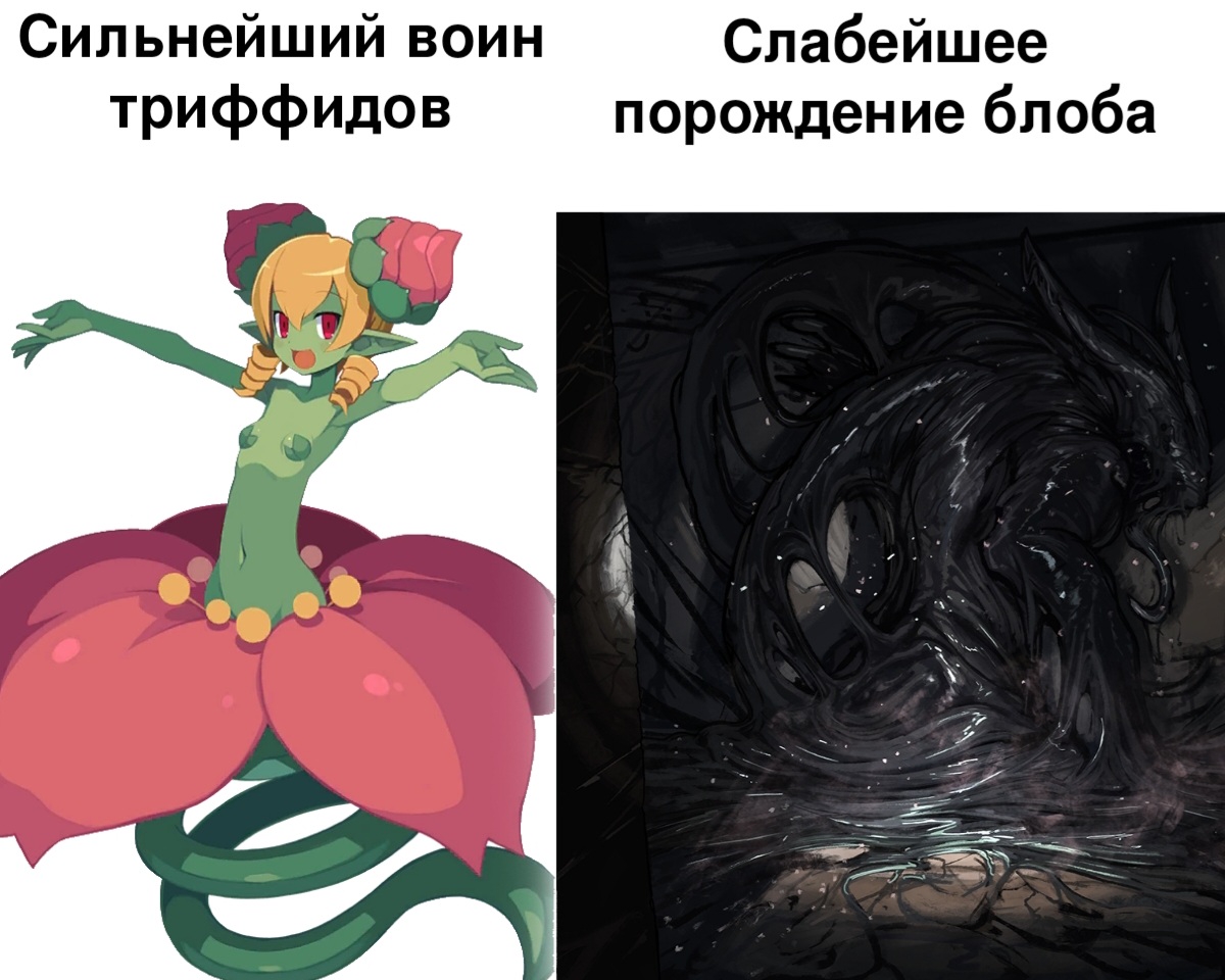 1200x960