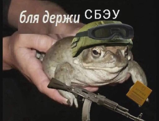 512x389