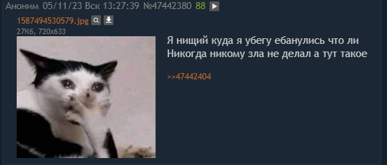 556x237