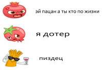 1332x928