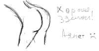 865x447