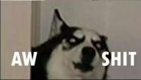 410x234