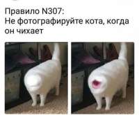500x417