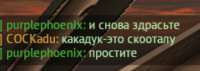 946x337
