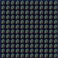 625x624