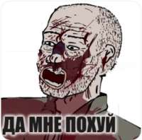 254x252