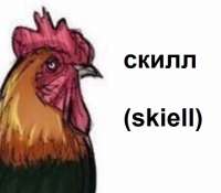 565x497