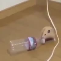 360x360