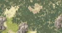 1229x658