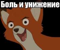 400x335