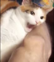 640x744
