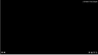 1236x701