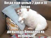 498x378