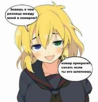 592x612