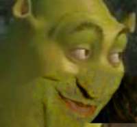 400x372