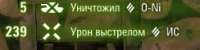 244x62