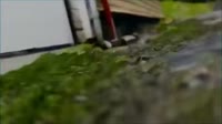 460x258