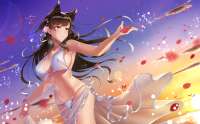 1607x999