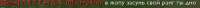 439x19