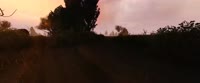 3440x1440