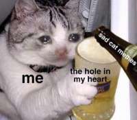 540x473