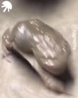 360x450