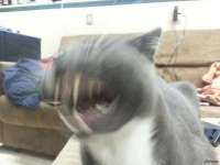 400x300