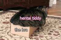 450x298