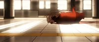 1920x816