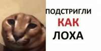 1280x651