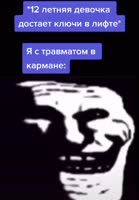480x688