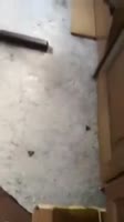 202x360