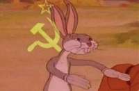 400x262