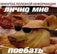 941x880