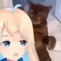 432x432