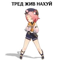 526x526