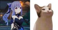 1080x564