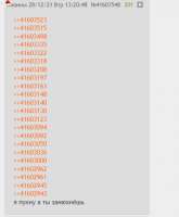 423x511