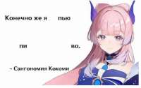 856x542