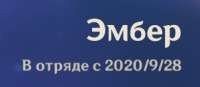 302x132