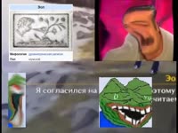 800x600
