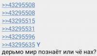 490x289