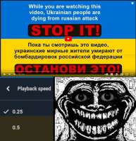 1240x1280
