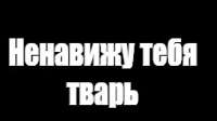 1152x648
