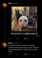 827x1135