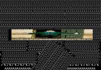 604x424