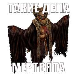 407x407