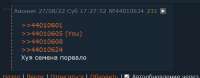 576x227