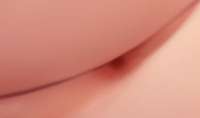 875x519